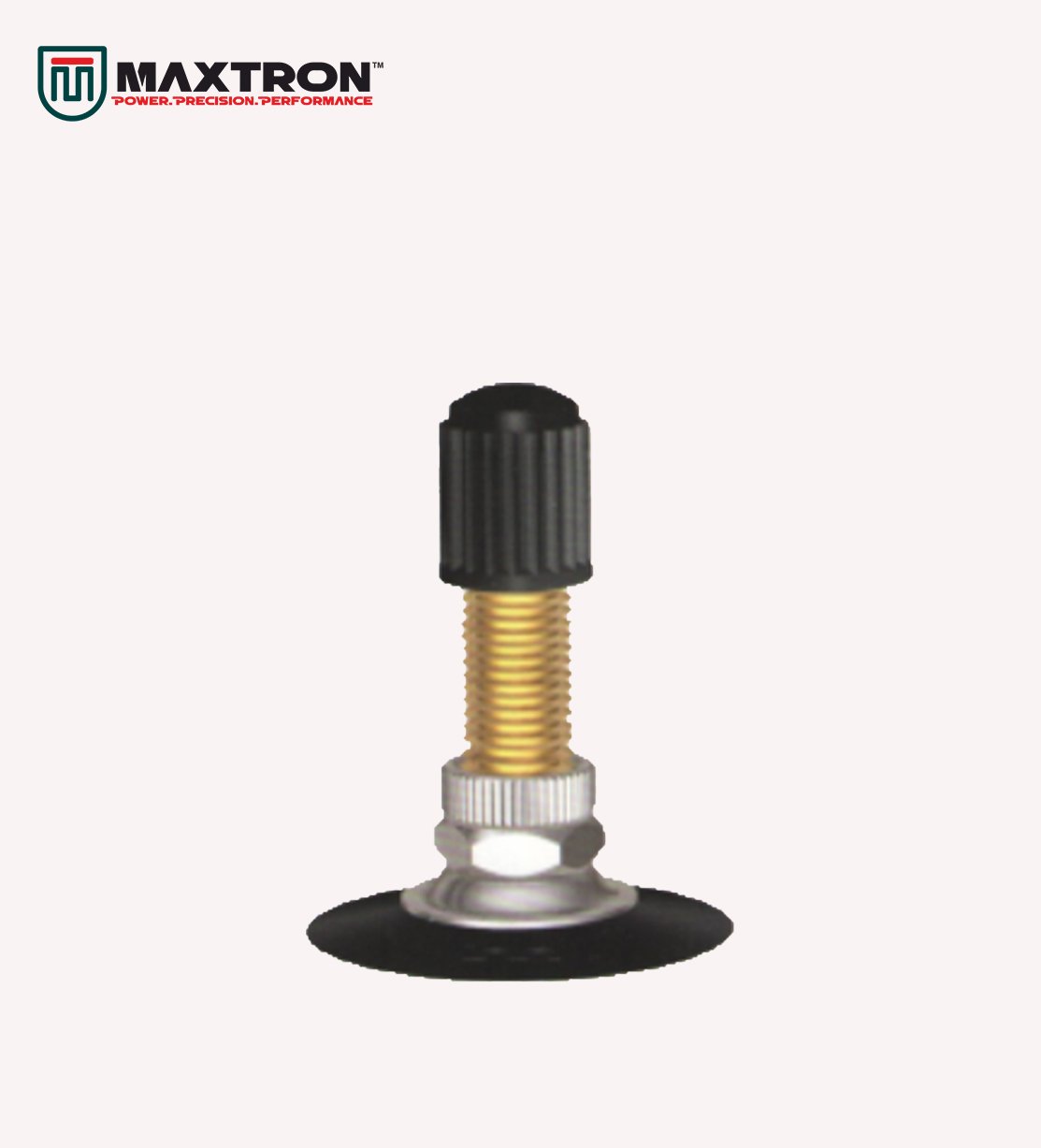 Maxtron Motorcycle Valve