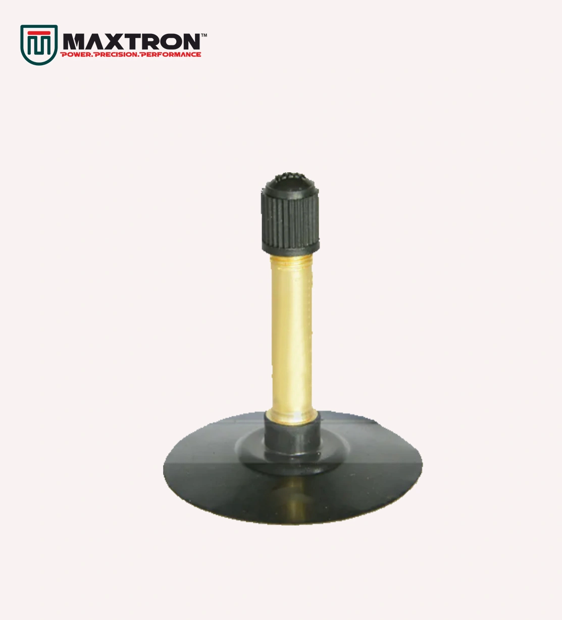 Maxtron Auto Valve